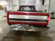 1994 Ford F-150 z VIN 1FTEF14N0RLB54218, wystawiony jako Copart lot #57050765 z przebiegiem 123 580 mil mil oraz Szkoda całkowita • Salvage title. Historia ofert i sprzedaży dostępna na DreamBid. Obrazek 6.