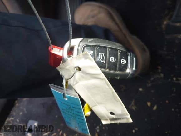 2020 Hyundai Santa Fe Limited с VIN 5NMS5CAD6LH233690, выставлен на аукционе IAAI как лот 42419975 с пробегом 69 954 миль миль и . История ставок и продаж доступна на DreamBid. Изображение 11.