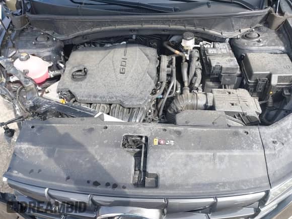 2024 Hyundai Tucson SE with VIN 5NMJACDE6RH336225, listed as a IAAI auction lot 41869167 with 22,924 mi miles and . Bid and sale history available at DreamBid. Image 10.