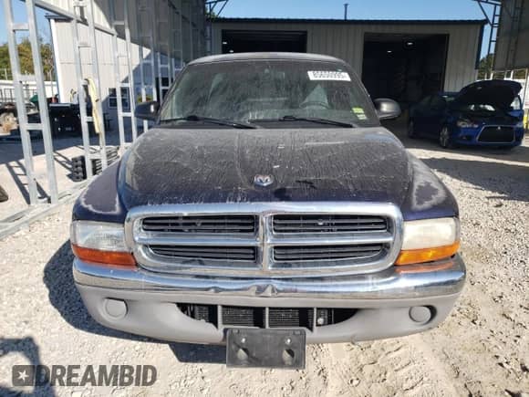 1999 Dodge Dakota SLT with VIN 1B7GL22XXXS206033, listed as a Copart auction lot 85650995 with 111,977 mi miles and Salvage title. Bid and sale history available at DreamBid. Image 5.