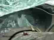 1998 Chevrolet Blazer LS with VIN 1GNCS13WXW2135178, listed as a Copart auction lot 60101125 with Not provided miles and Salvage title. Bid and sale history available at DreamBid. Image 9.