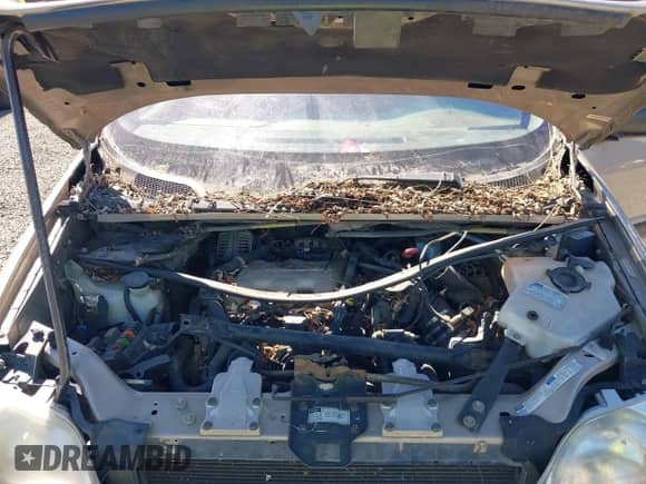 2000 Chevrolet Venture LT 1SD с VIN 1GNDX03E1YD137111, выставлен на аукционе IAAI как лот 42175157 с пробегом 165 687 миль миль и . История ставок и продаж доступна на DreamBid. Изображение 10.
