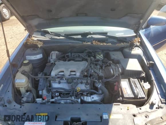 1998 Chevrolet Malibu с VIN 1G1ND52M5W6123248, выставлен на аукционе Copart как лот 70776255 с пробегом 88 168 миль миль и Чистый • Clean title. История ставок и продаж доступна на DreamBid. Изображение 11.