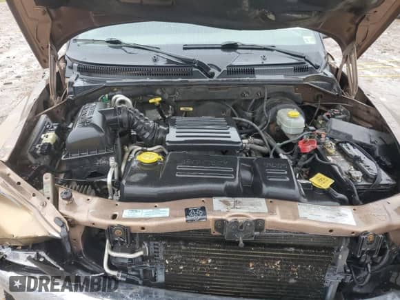 2001 Dodge Dakota Sport with VIN 1B7GG2AN71S188389, listed as a Copart auction lot 81003045 with 203,492 mi miles and Salvage title. Bid and sale history available at DreamBid. Image 11.