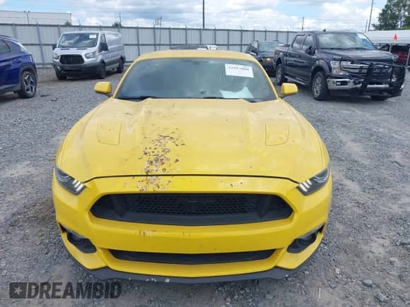 2017 Ford Mustang GT with VIN 1FA6P8CF9H5289985, listed as a IAAI auction lot 42953008 with 56,328 mi miles and . Bid and sale history available at DreamBid. Image 12.