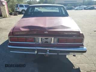 1986 Chevrolet Caprice с VIN 1G1BN69H0GX204734, выставлен на аукционе Copart как лот 47292705 с пробегом 24 345 миль миль и Списание • Salvage title. История ставок и продаж доступна на DreamBid. Изображение 6.