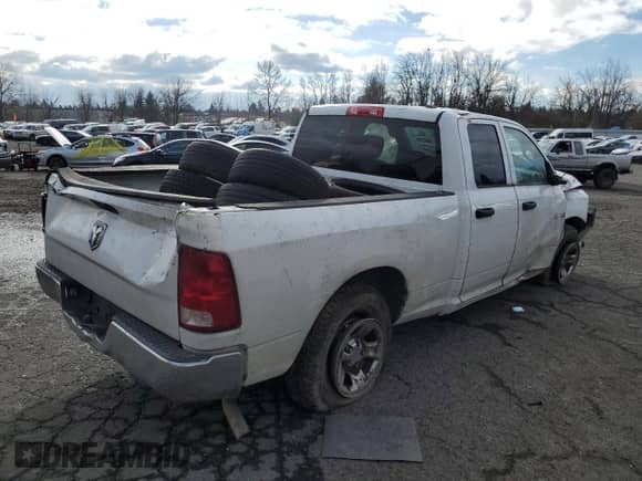 2010 Dodge 1500 ST with VIN 1D7RB1GK4AS126579, listed as a Copart auction lot 44359815 with Not provided miles and Salvage title. Bid and sale history available at DreamBid. Image 3.