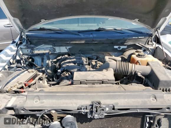 2011 Ford F-150 XL with VIN 1FTMF1CM1BKD38762, listed as a Copart auction lot 80412245 with 225,468 mi miles and Clean title. Bid and sale history available at DreamBid. Image 12.