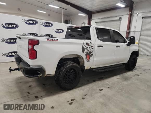 2020 Chevrolet Silverado 1500 Custom Trail Boss with VIN 1GCPYCEF9LZ178866, listed as a Copart auction lot 80925385 with 123,171 mi miles and Clean title. Bid and sale history available at DreamBid. Image 3.