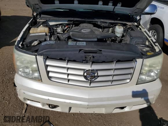 2004 Cadillac Escalade with VIN 1GYEK63NX4R109202, listed as a Copart auction lot 84244305 with Not provided miles and Salvage title. Bid and sale history available at DreamBid. Image 11.
