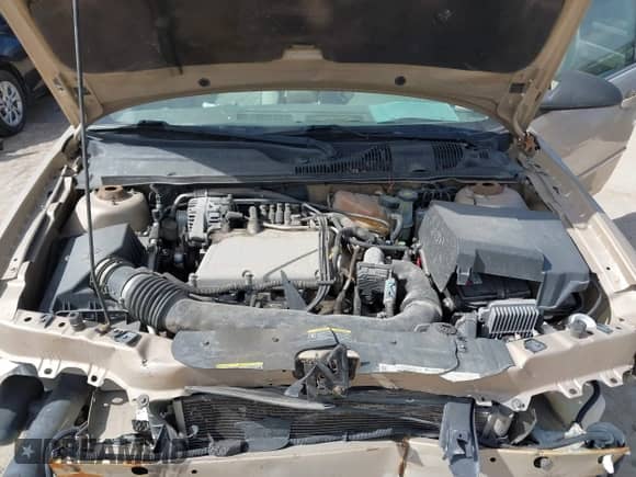 2004 Chevrolet Malibu Maxx LS z VIN 1G1ZT62824F197303, wystawiony jako IAAI lot #41890752 z przebiegiem 92 900 mil mil oraz . Historia ofert i sprzedaży dostępna na DreamBid. Obrazek 10.