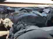 2012 Jeep Wrangler Sport z VIN 1C4AJWAGXCL219342, wystawiony jako Copart lot #71405885 z przebiegiem Nie podano mil oraz Nie do naprawy • Non repairable. Historia ofert i sprzedaży dostępna na DreamBid. Obrazek 9.