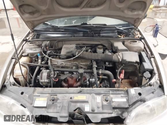 1999 Chevrolet Cavalier z VIN 1G1JC1241X7204981, wystawiony jako IAAI lot #41598495 z przebiegiem Nie podano mil oraz . Historia ofert i sprzedaży dostępna na DreamBid. Obrazek 10.