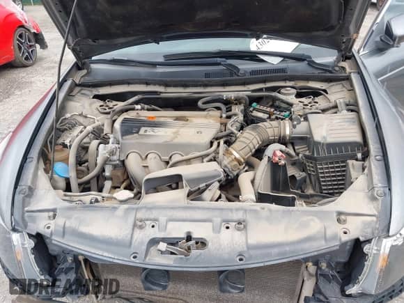 2008 Honda Accord EX with VIN JHMCP26708C001084, listed as a IAAI auction lot 43025524 with 188,816 mi miles and . Bid and sale history available at DreamBid. Image 10.