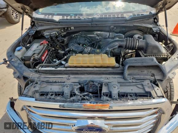 2017 Ford F-150 XL with VIN 1FTEX1C82HKD96845, listed as a Copart auction lot 70045325 with 181,959 mi miles and Salvage title. Bid and sale history available at DreamBid. Image 11.