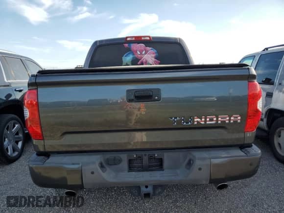 2016 Toyota Tundra Platinum with VIN 5TFGW5F11GX211574, listed as a Copart auction lot 75138854 with 58,044 mi miles and Salvage title. Bid and sale history available at DreamBid. Image 6.