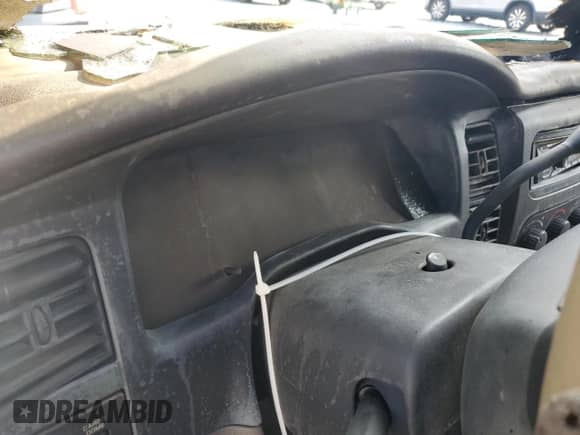 2004 Dodge Dakota SLT with VIN 1D7HL48N44S763978, listed as a Copart auction lot 81034365 with Not provided miles and Salvage title. Bid and sale history available at DreamBid. Image 9.