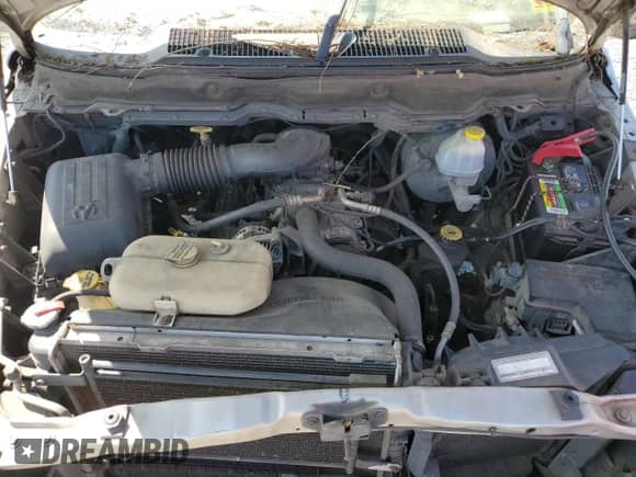 2002 Dodge 1500 с VIN 1D7HU18Z32J181758, выставлен на аукционе Copart как лот 58661415 с пробегом 223 192 миль миль и Чистый • Clean title. История ставок и продаж доступна на DreamBid. Изображение 11.