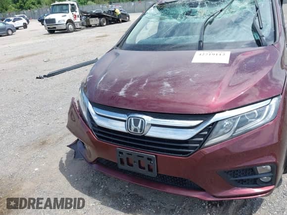 2020 Honda Odyssey EX with VIN 5FNRL6H58LB032119, listed as a IAAI auction lot 42719112 with Not provided miles and . Bid and sale history available at DreamBid. Image 18.
