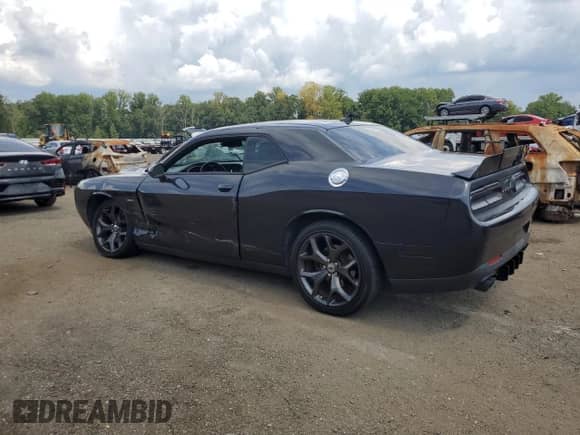 2018 Dodge Challenger SXT with VIN 2C3CDZAGXJH258741, listed as a Copart auction lot 69201835 with 119,651 mi miles and Salvage title. Bid and sale history available at DreamBid. Image 2.