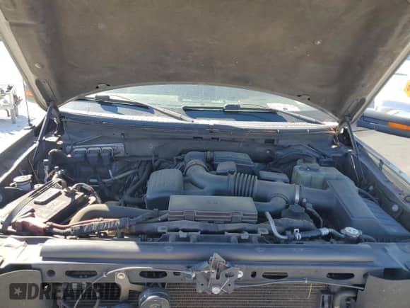 2010 Ford F-150 XL with VIN 1FTFW1EV5AFA56145, listed as a Copart auction lot 82743365 with Not provided miles and Clean title. Bid and sale history available at DreamBid. Image 11.