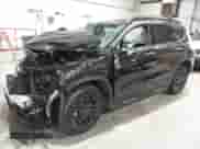 2023 Hyundai Santa Fe XRT с VIN 5NMS6DAJ5PH605924, выставлен на аукционе IAAI как лот 42751595 с пробегом 39 345 миль миль и . История ставок и продаж доступна на DreamBid. Изображение 2.