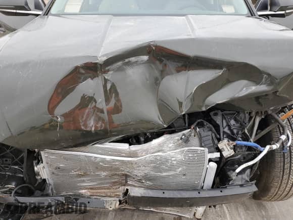 2025 Hyundai Tucson SEL Convenience with VIN 5NMJC3DE6SH466229, listed as a Copart auction lot 76703254 with 1,808 mi miles and Salvage title. Bid and sale history available at DreamBid. Image 14.