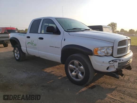 2003 Dodge 1500 ST с VIN 1D7HU18D03S246226, выставлен на аукционе Copart как лот 71655215 с пробегом 171 309 миль миль и Списание • Salvage title. История ставок и продаж доступна на DreamBid. Изображение 4.