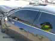 2023 Lexus IS 350 F Sport с VIN JTHGZ1B21P5062625, выставлен на аукционе IAAI как лот 43210307 с пробегом 27 635 миль миль и . История ставок и продаж доступна на DreamBid. Изображение 18.