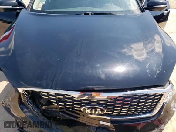 2019 Kia Sorento SX with VIN 5XYPK4A59KG446686, listed as a Copart auction lot 58654675 with 73,136 mi miles and Clean title. Bid and sale history available at DreamBid. Image 12.