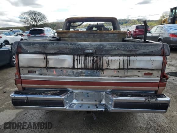 1994 Ford F-150 z VIN 1FTEF14N9RLA81351, wystawiony jako Copart lot #55441735 z przebiegiem Nie podano mil oraz Nie do naprawy • Non repairable. Historia ofert i sprzedaży dostępna na DreamBid. Obrazek 6.