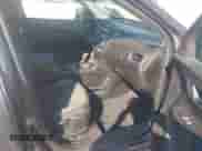 2019 Chevrolet Equinox LT с VIN 2GNAXUEV5K6196787, выставлен на аукционе IAAI как лот 43400091 с пробегом 86 787 миль миль и . История ставок и продаж доступна на DreamBid. Изображение 5.