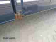 2002 Chevrolet Silverado 1500 LT с VIN 2GCEC19TX21172513, выставлен на аукционе IAAI как лот 42934623 с пробегом 240 397 миль миль и . История ставок и продаж доступна на DreamBid. Изображение 6.