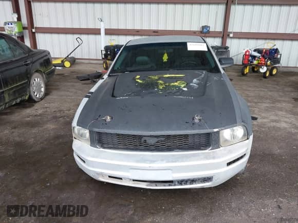 2005 Ford Mustang Deluxe с VIN 1ZVFT80N955114839, выставлен на аукционе IAAI как лот 42689801 с пробегом 149 556 миль миль и . История ставок и продаж доступна на DreamBid. Изображение 17.