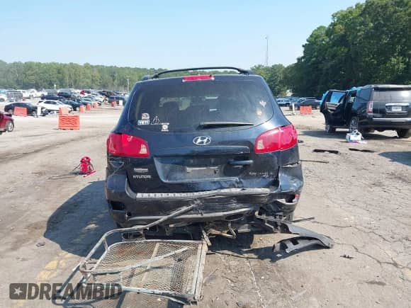 2007 Hyundai Santa Fe SE with VIN 5NMSH13E97H052817, listed as a IAAI auction lot 43136191 with 265,353 mi miles and . Bid and sale history available at DreamBid. Image 16.