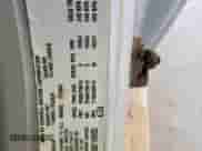 2005 Chevrolet Colorado Z85 with VIN 1GCCS148758216935, listed as a Copart auction lot 68172335 with 192,476 mi miles and Salvage title. Bid and sale history available at DreamBid. Image 13.