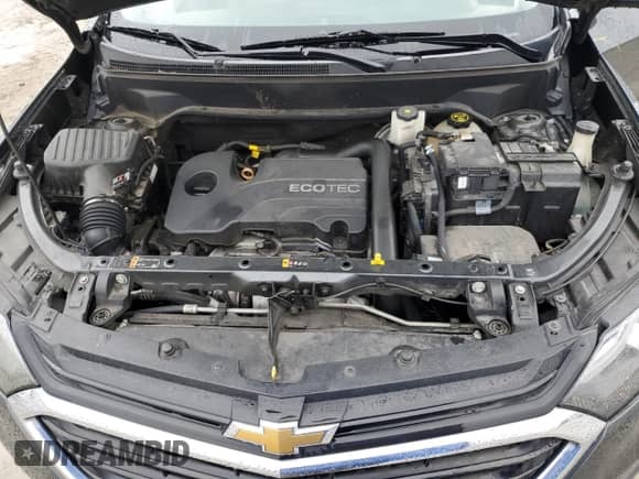 2019 Chevrolet Equinox LS with VIN 2GNAXHEV4K6199221, listed as a Copart auction lot 85055955 with 168,277 mi miles and Non repairable. Bid and sale history available at DreamBid. Image 12.