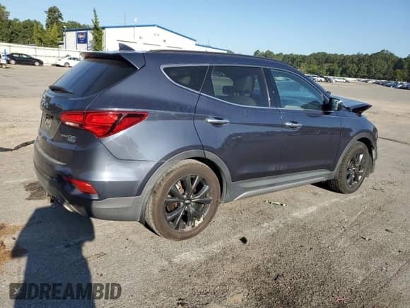 2017 Hyundai Santa Fe Ultimate with VIN 5XYZW4LA9HG461107, listed as a Copart auction lot 80212445 with Not provided miles and Salvage title. Bid and sale history available at DreamBid. Image 3.