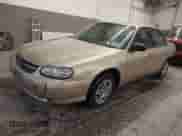 2005 Chevrolet Malibu Classic z VIN 1G1ND52F25M126197, wystawiony jako IAAI lot #41635127 z przebiegiem 218 168 mil mil oraz . Historia ofert i sprzedaży dostępna na DreamBid. Obrazek 18.