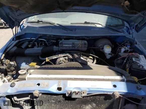 1998 Dodge 1500 с VIN 1B7HC13Z0WJ224754, выставлен на аукционе Copart как лот 55836285 с пробегом 164 245 миль миль и Чистый • Clean title. История ставок и продаж доступна на DreamBid. Изображение 11.