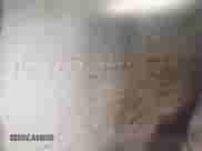 2023 Cadillac Escalade ESV 4WD Sport Platinum с VIN 1GYS4RKL8PR219829, выставлен на аукционе IAAI как лот 42097231 с пробегом 19 595 миль миль и . История ставок и продаж доступна на DreamBid. Изображение 9.