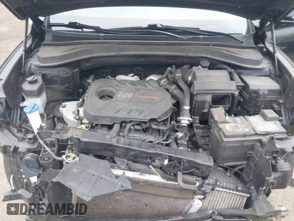 2020 Hyundai Santa Fe Limited with VIN 5NMS53AA5LH250051, listed as a IAAI auction lot 41431673 with 55,530 mi miles and . Bid and sale history available at DreamBid. Image 10.