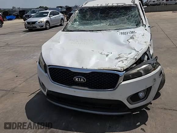 2016 Kia Sorento EX with VIN 5XYPH4A12GG186490, listed as a Copart auction lot 69231385 with 115,060 mi miles and Salvage title. Bid and sale history available at DreamBid. Image 14.
