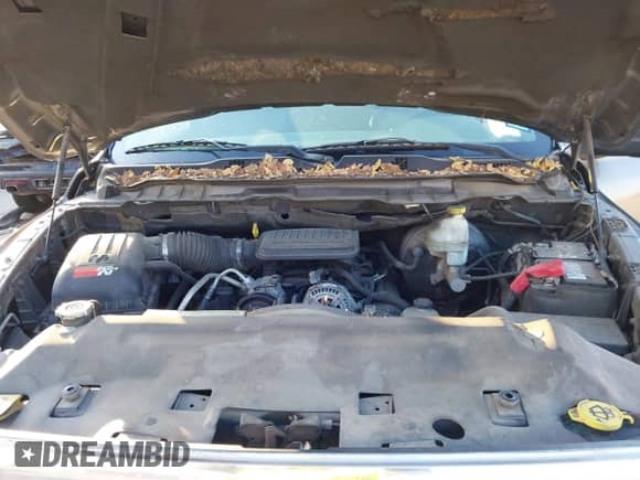 2010 Dodge 1500 ST with VIN 3D7JB1EK8AG107542, listed as a IAAI auction lot 43498127 with 118,339 mi miles and . Bid and sale history available at DreamBid. Image 10.