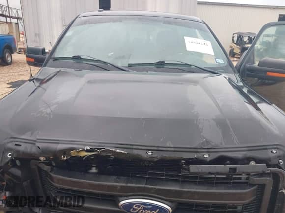 2013 Ford F-150 XL z VIN 1FTFW1EF9DKE75524, wystawiony jako IAAI lot #42424121 z przebiegiem 163 935 mil mil oraz . Historia ofert i sprzedaży dostępna na DreamBid. Obrazek 10.