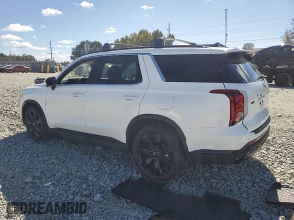2025 Hyundai Palisade XRT with VIN KM8R3DGE9SU834671, listed as a Copart auction lot 84417345 with 17,714 mi miles and Salvage title. Bid and sale history available at DreamBid. Image 2.