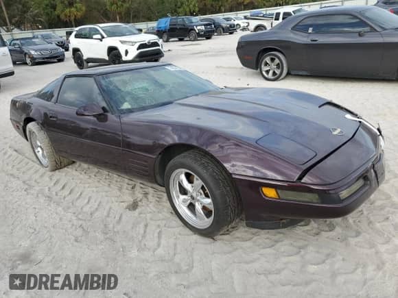 1994 Chevrolet Corvette with VIN 1G1YY22PXR5104229, listed as a Copart auction lot 74204594 with Not provided miles and Salvage title. Bid and sale history available at DreamBid. Image 4.