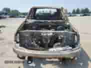 1999 Ford F-150 with VIN 1FTRX18W8XKA37815, listed as a Copart auction lot 66904165 with Not provided miles and Non repairable. Bid and sale history available at DreamBid. Image 5.