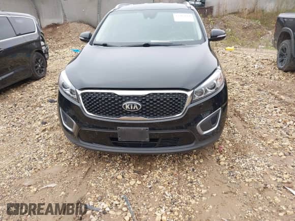 2017 Kia Sorento LX with VIN 5XYPGDA51HG204226, listed as a IAAI auction lot 43283664 with 113,911 mi miles and . Bid and sale history available at DreamBid. Image 13.