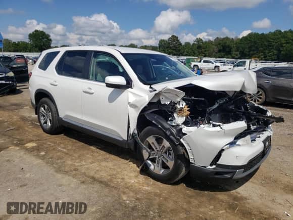 2024 Honda Pilot EX-L with VIN 5FNYG1H59RB049863, listed as a Copart auction lot 71712164 with 5,629 mi miles and Salvage title. Bid and sale history available at DreamBid. Image 4.